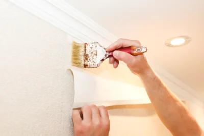 Pose de papier peint à Zonza — revêtements muraux et toiles de verre